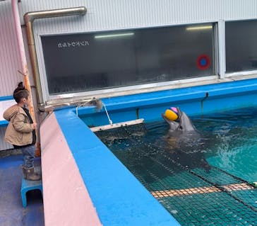 ゼロ距離水族館 伊勢シーパラダイスに投稿された画像（2023/4/26）