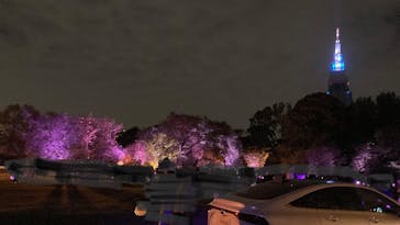 NAKED 桜の新宿御苑 2023に投稿された画像（2023/4/26）