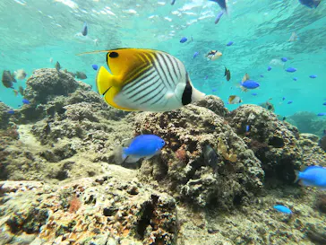 武藤潜水に投稿された画像（2023/4/27）