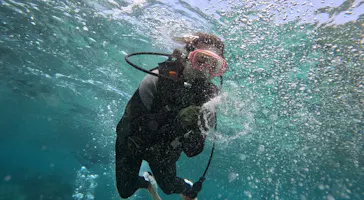 武藤潜水に投稿された画像（2023/4/27）