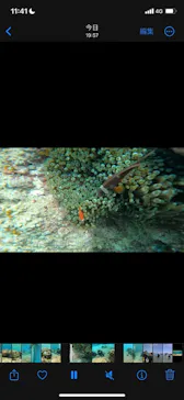 武藤潜水に投稿された画像（2023/4/27）