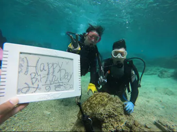 武藤潜水に投稿された画像（2023/4/27）