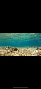 武藤潜水に投稿された画像（2023/4/27）