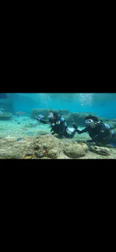 武藤潜水に投稿された画像（2023/4/27）