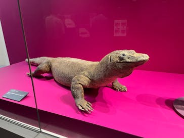 特別展「毒」に投稿された画像（2023/4/27）