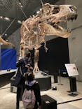 特別展「恐竜博2023」に投稿された画像（2023/4/27）