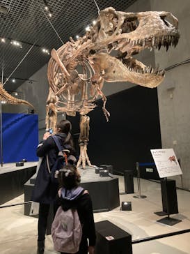 特別展「恐竜博2023」に投稿された画像（2023/4/27）