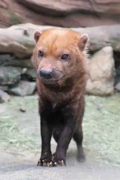 神戸どうぶつ王国に投稿された画像（2023/4/27）