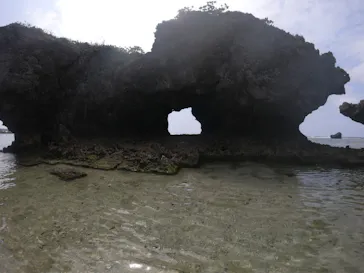 武藤潜水に投稿された画像（2023/4/27）