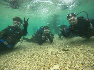 武藤潜水に投稿された画像（2023/4/27）