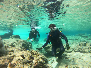 武藤潜水に投稿された画像（2023/4/27）