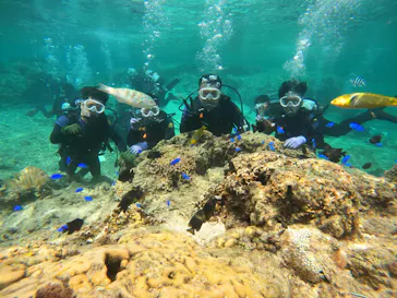 武藤潜水に投稿された画像（2023/4/27）