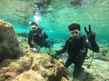 武藤潜水に投稿された画像（2023/4/27）