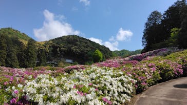 京阪電車に投稿された画像（2023/4/27）