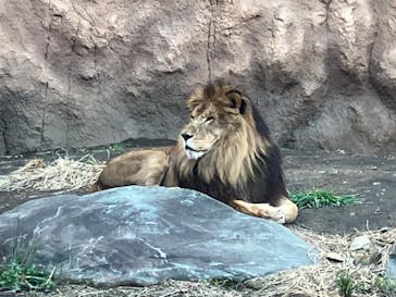 日立市かみね動物園に投稿された画像（2023/4/27）