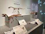 特別展「恐竜博2023」に投稿された画像（2023/4/27）