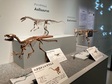 特別展「恐竜博2023」に投稿された画像（2023/4/27）