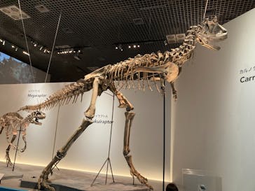 特別展「恐竜博2023」に投稿された画像（2023/4/27）