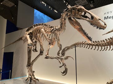 特別展「恐竜博2023」に投稿された画像（2023/4/27）
