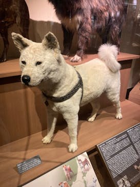 国立科学博物館に投稿された画像（2023/4/27）