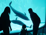 名古屋港水族館に投稿された画像（2023/4/27）