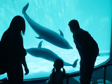 名古屋港水族館に投稿された画像（2023/4/27）