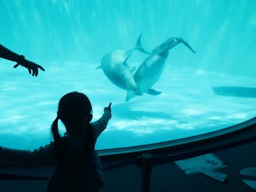 名古屋港水族館に投稿された画像（2023/4/27）