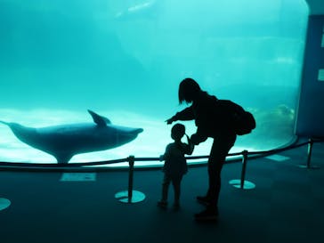 名古屋港水族館に投稿された画像（2023/4/27）