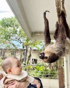 ネオパークオキナワに投稿された画像（2023/4/27）