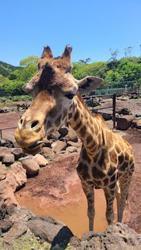 伊豆アニマルキングダムに投稿された画像（2023/4/27）