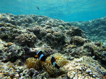 沖縄マリンサービス碧に投稿された画像（2023/4/27）