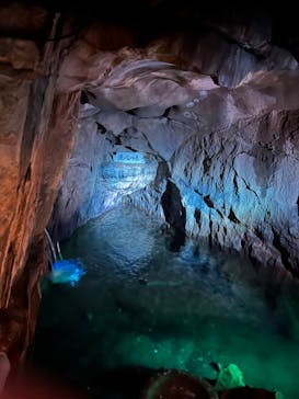 あぶくま洞に投稿された画像（2023/4/27）