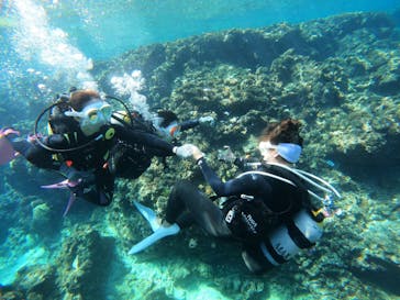 沖縄マリンサービス碧に投稿された画像（2023/4/27）