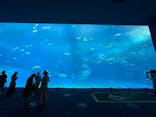 沖縄美ら海水族館に投稿された画像（2023/4/28）