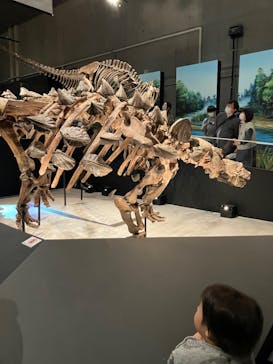 特別展「恐竜博2023」に投稿された画像（2023/4/28）