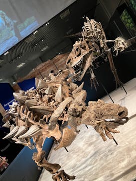 特別展「恐竜博2023」に投稿された画像（2023/4/28）