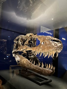 特別展「恐竜博2023」に投稿された画像（2023/4/28）