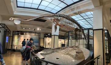 特別展「恐竜博2023」に投稿された画像（2023/4/28）