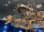 特別展「恐竜博2023」に投稿された画像（2023/4/28）