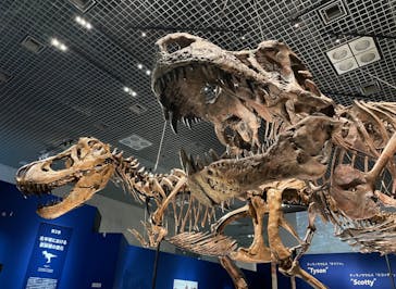 特別展「恐竜博2023」に投稿された画像（2023/4/28）