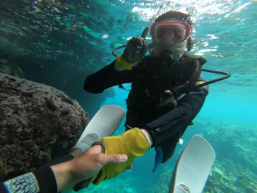 武藤潜水に投稿された画像（2023/4/28）