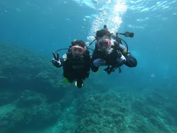 武藤潜水に投稿された画像（2023/4/28）