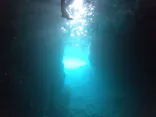 武藤潜水に投稿された画像（2023/4/28）