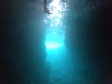 武藤潜水に投稿された画像（2023/4/28）