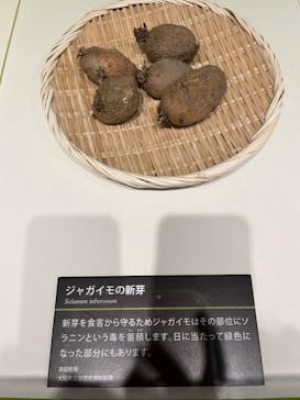 特別展「毒」に投稿された画像（2023/4/28）