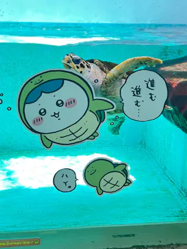 仙台うみの杜水族館に投稿された画像（2023/4/28）