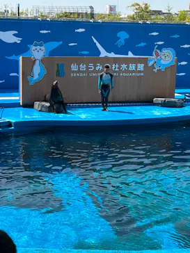 仙台うみの杜水族館に投稿された画像（2023/4/28）