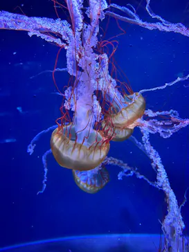 すみだ水族館に投稿された画像（2023/4/28）