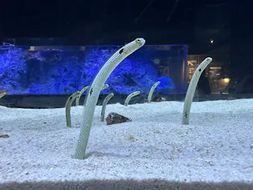 すみだ水族館に投稿された画像（2023/4/28）