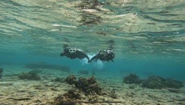 青の洞窟専門店　沖縄ダイビングショップ和に投稿された画像（2023/4/28）